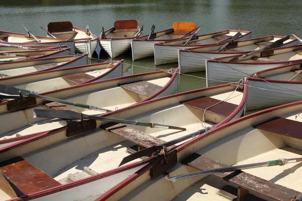 Ladra en un canal — Foto de Stock