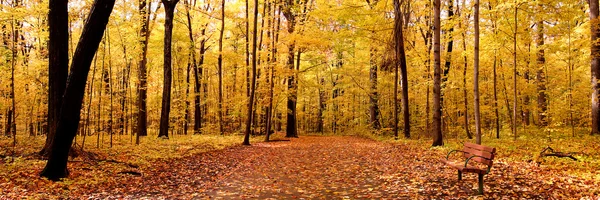 panoramik görünüm