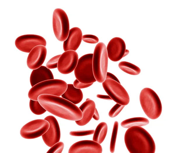 Cellule del sangue — Foto Stock