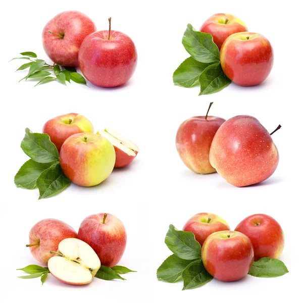 Roter Apfel — Stockfoto