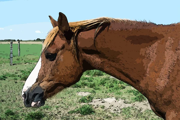 Лошадь в поле — стоковый вектор