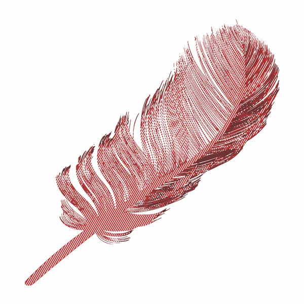 Pop art feather — Stock Vector