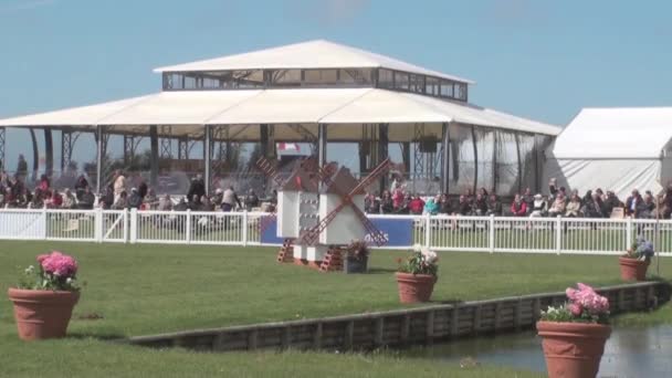 Show jumping — Stock Video