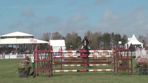 Show jumping — Stock Video
