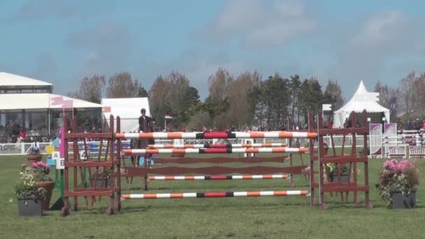 Show jumping — Stock Video