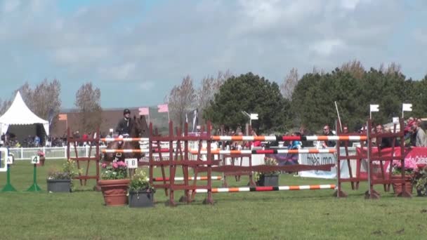 Show jumping — Stock Video