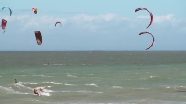 Kitesurf i Pas-de-Calais.France — Stockvideo