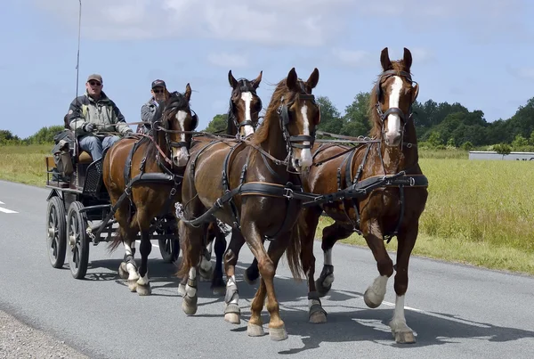 Paard getrokken vervoer. Vier paarden — Stockfoto