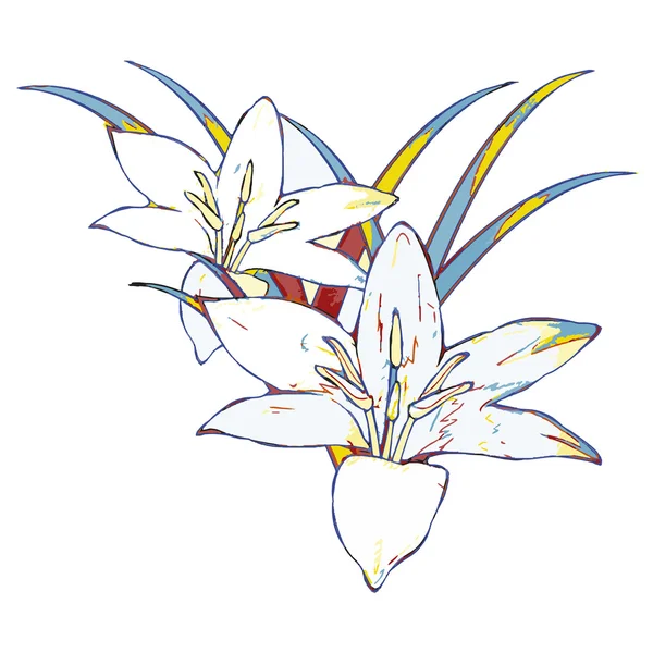 Σχέδιο Ποπ Αρτ. Κρίνος λουλούδι — Διανυσματικό Αρχείο