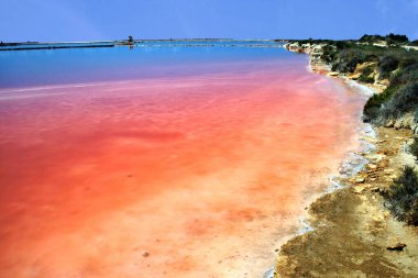 Salt marshes. Saline Dello Stagnone. Salt heaps, Marsala and Trapani, Sicily, Italy.The red reflections of the sea are due to algae.