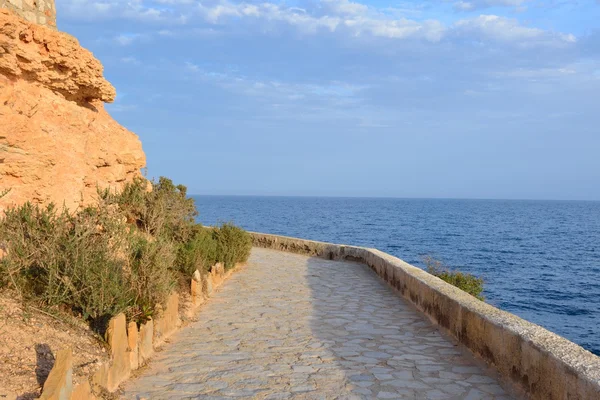 Paved coastal walkway on a summer evening — Stock Photo, Image