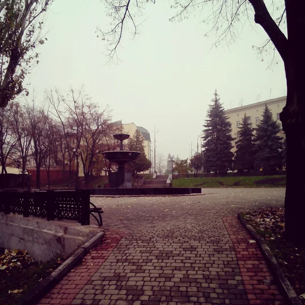 Парк, лес, осень, туман — стоковое фото