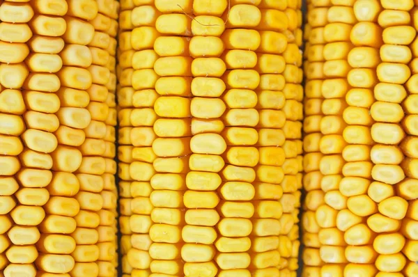 细节镜头，背景为黄色玉米粒 — 图库照片