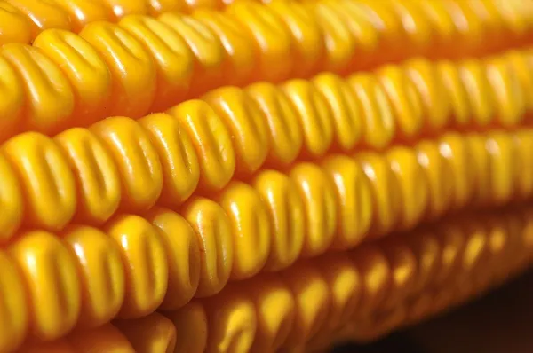 Detail záběr žluté kukuřice jader — Stock fotografie