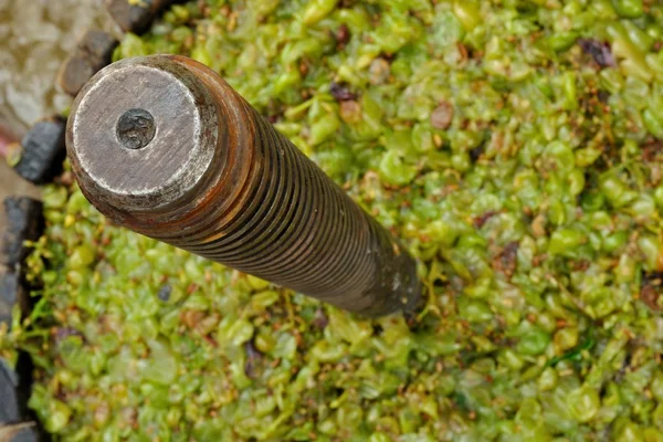 Wooden wine press for pressing grapes to produce wine — Stock Photo, Image