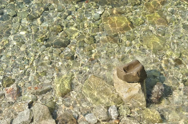 In fondo al mare — Foto Stock