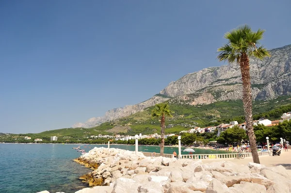 Tucepi med havet, palm träd och berg biokovo i bakgrunden — Stockfoto