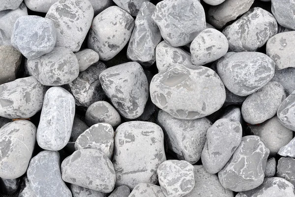 Background of small gray rocks — Stock Photo, Image