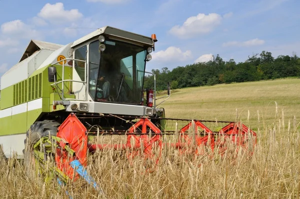 Maaimachine combineren tijdens de oogst op het veld in de zomer Rechtenvrije Stockfoto's