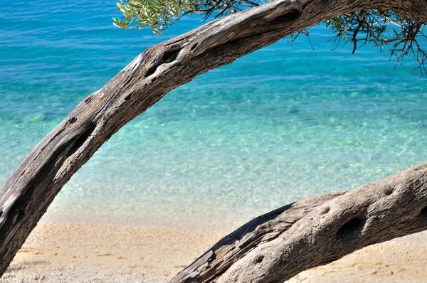 Amazing tropical beach with turquoise sea — Stock Photo, Image