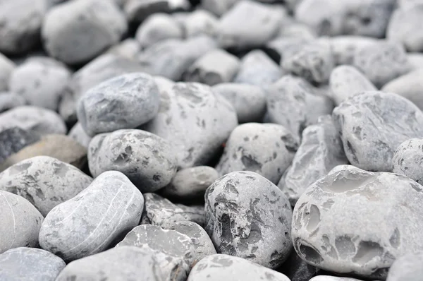 Background of small gray rocks — Stock Photo, Image