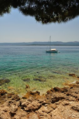 bol inanılmaz beach Island Brac. Hırvatistan
