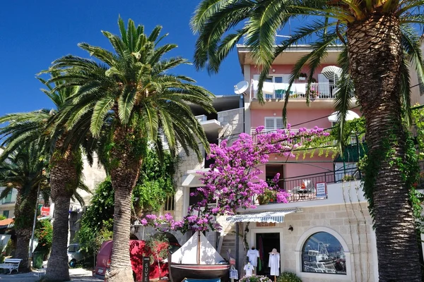 Belo passeio de Podgora com flores e palmeiras — Fotografia de Stock