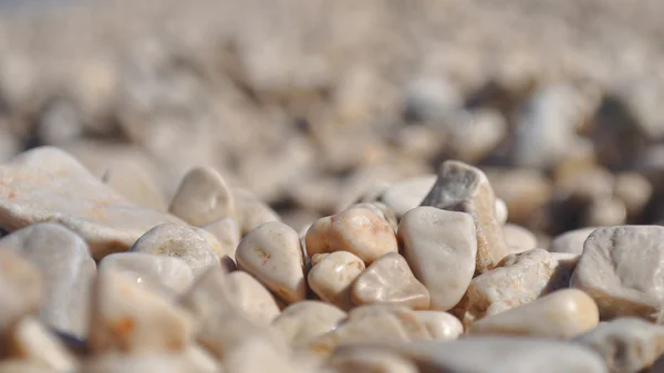 Fondo de pequeñas rocas marrones —  Fotos de Stock