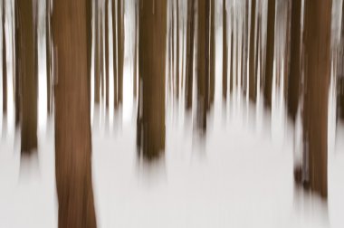 soyut ormanında kış