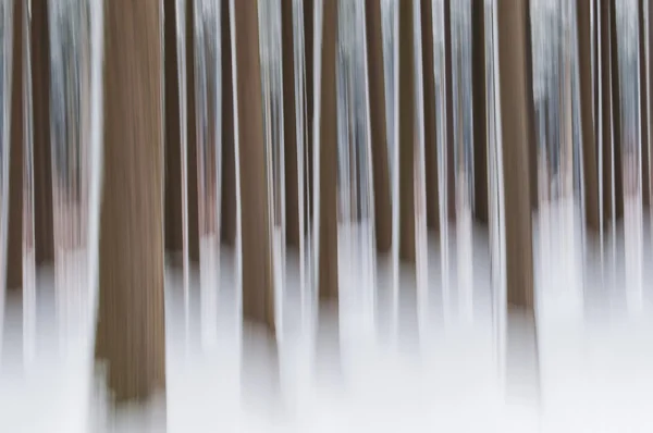 Floresta abstrata no inverno — Fotografia de Stock