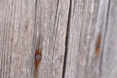 eski paslı çivi ile ahşap yüzey arka plan gri