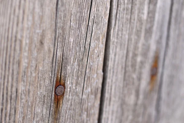 Fondo de superficie de madera gris viejo con uñas oxidadas —  Fotos de Stock