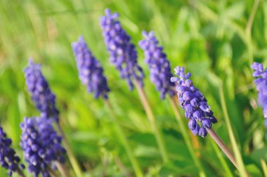 pembe fantezi düğün pastası