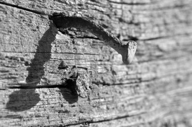 eski bir odun parçası paslı çivi