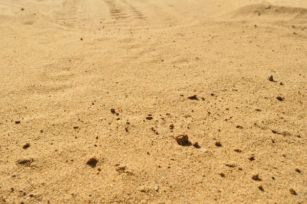 Sandhintergrund — Stockfoto