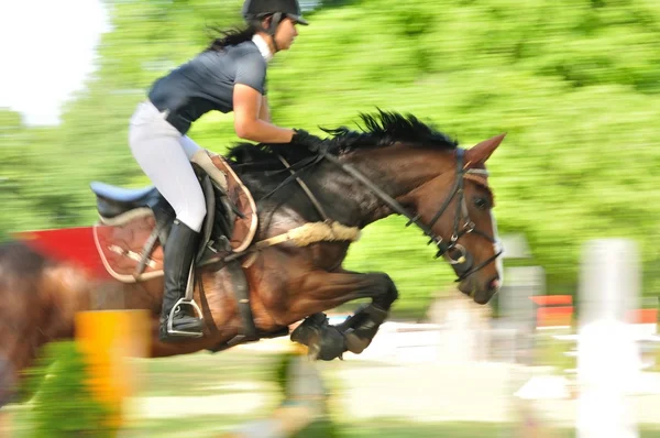 Paard met vrouwelijke jockey springen van een hindernis — Stockfoto