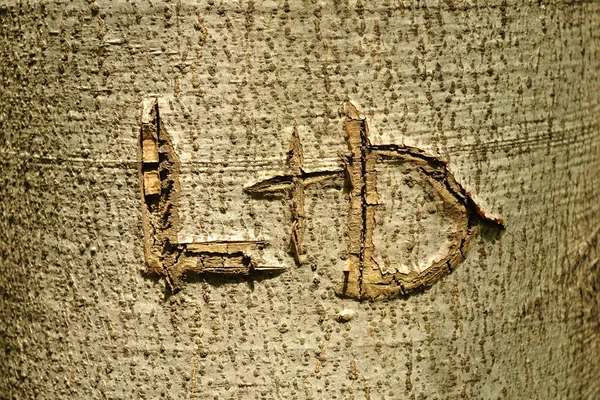 L och d bokstäver uthuggen träd bålen l d — Stockfoto