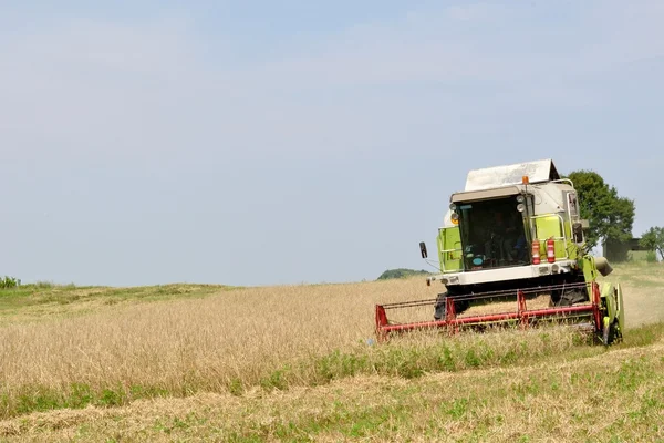 Nowoczesne połączenie w polu pszenicy, podczas zbiorów — Zdjęcie stockowe