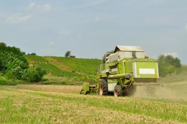 Современный комбайн на пшеничном поле во время уборки — стоковое фото