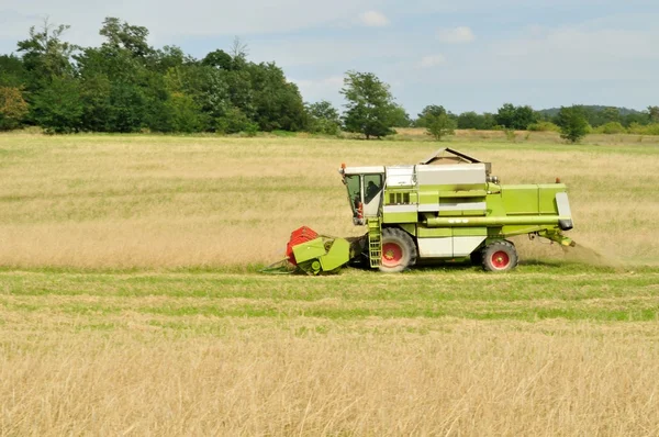 Moderna skördetröska i fältet vete under skörden — Stockfoto