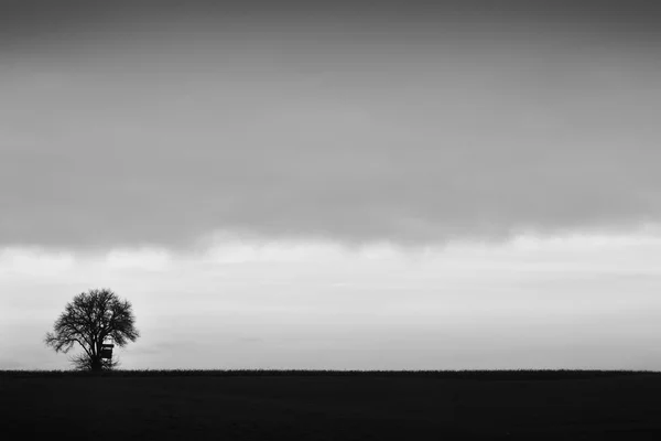 картинка одинокое дерево в поле. Смотреть фото картинка одинокое дерево в поле. Смотреть картинку картинка одинокое дерево в поле. Картинка про картинка одинокое дерево в поле. Фото картинка одинокое дерево в поле картинка одинокое дерево в поле. Смотреть фото картинка одинокое дерево в поле. Смотреть картинку картинка одинокое дерево в поле. Картинка про картинка одинокое дерево в поле. Фото картинка одинокое дерево в поле