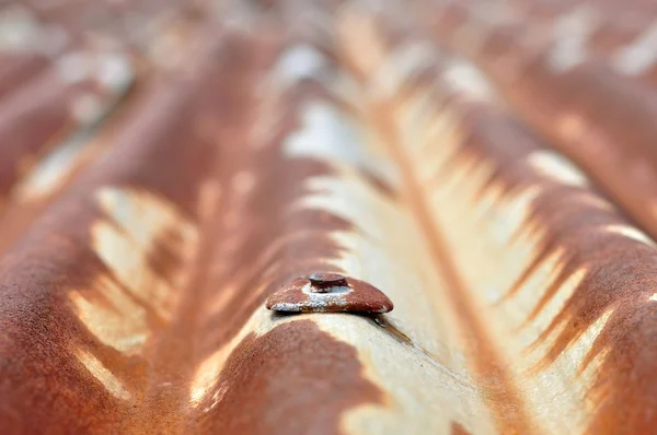 Detalhe da velha folha de metal ondulado enferrujado com unha enferrujada — Fotografia de Stock