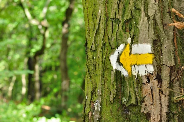 Sarı ve beyaz hiking trail ağaç semboller işaretler