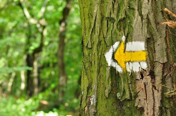 Sarı ve beyaz hiking trail ağaç semboller işaretler Telifsiz Stok Imajlar
