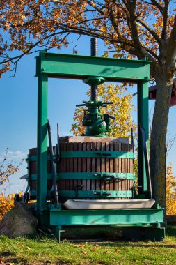 Alman üzüm bağındaki bir ağacın altında yeşil şarap presi.