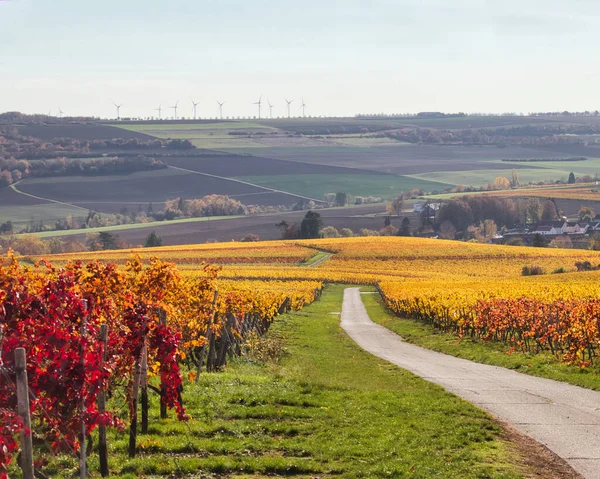 Vinhedo Alemanha Com Folhas Amarelas Vermelhas Terras Agrícolas Turbinas Eólicas — Fotografia de Stock