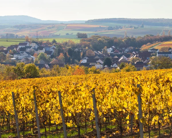 Pequeño Pueblo Detrás Viñedo Con Hojas Amarillas Día Otoño Alemania —  Fotos de Stock