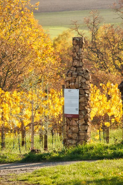 Garrafa Vinho Arte Feita Pedras Uma Vinha Dia Outono Alemanha — Fotografia de Stock