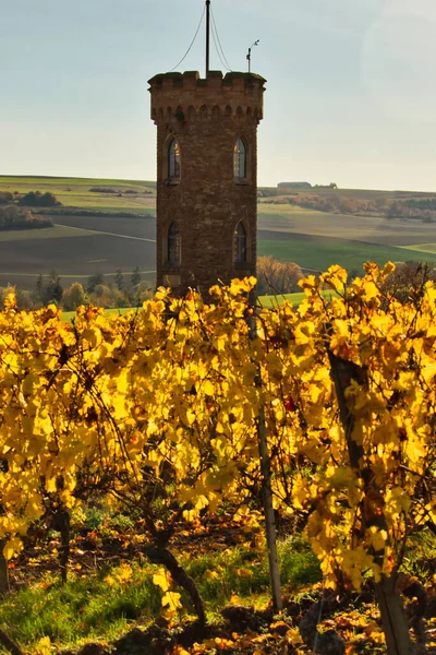 Hermosa Torre Vino Heiligenblut Turm Los Terrenos Bodega Villa Heiligblut —  Fotos de Stock