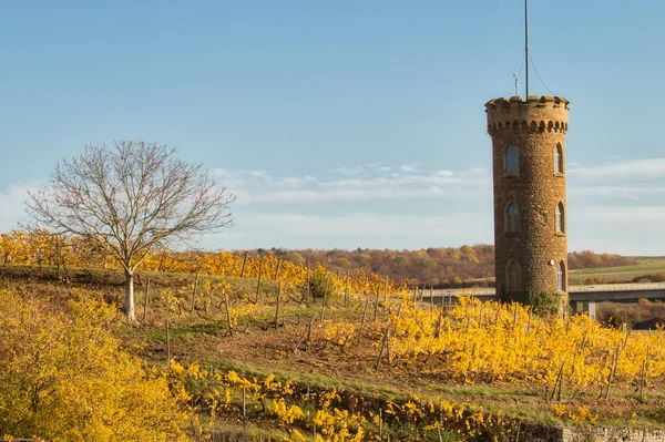 Heiligenblut Tower Uma Vinha Dia Ensolarado Outono Alzey Alemanha — Fotografia de Stock